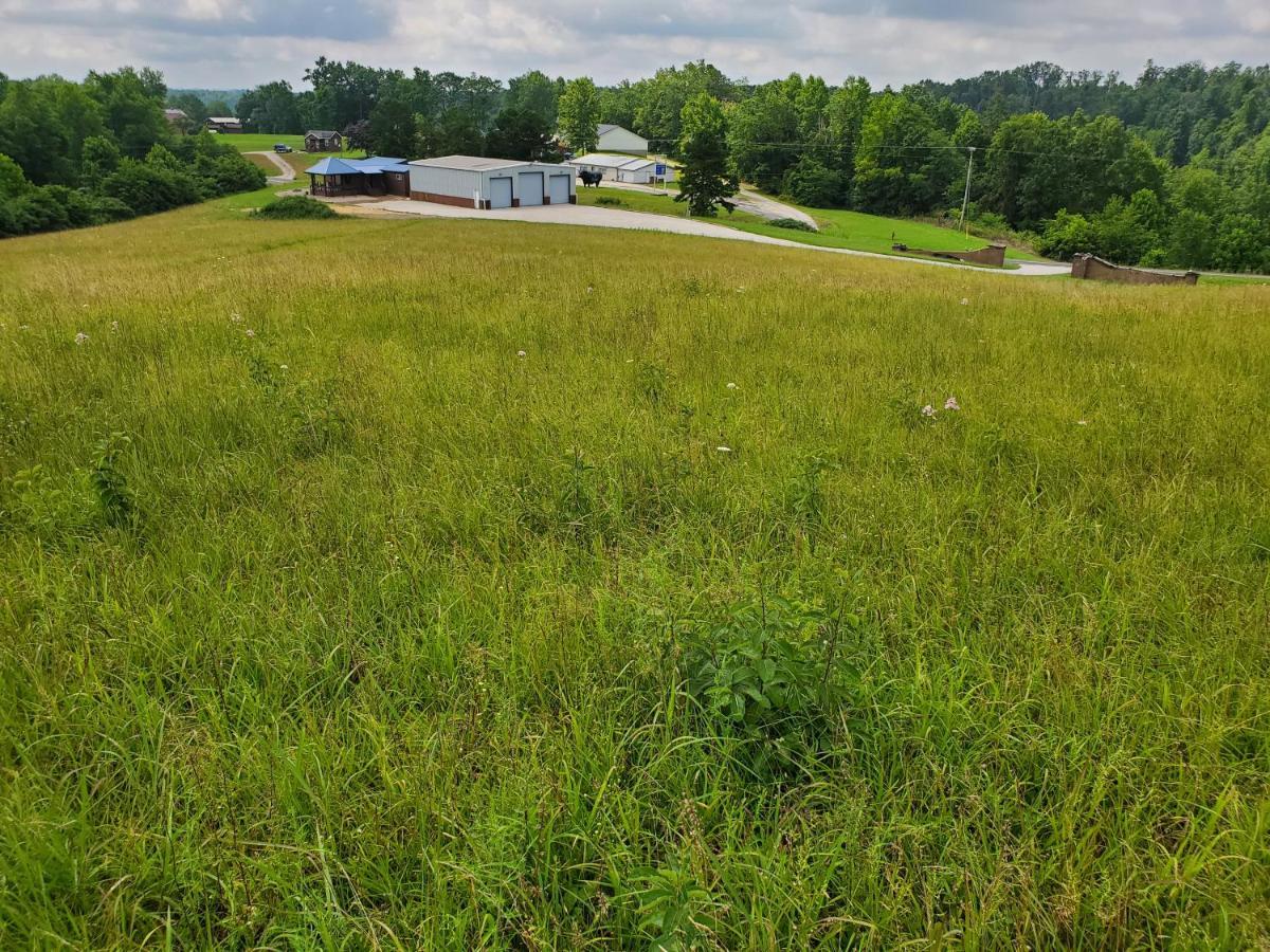 Luxury Cabin W/ Game Room & Hot Tub At Cave Run Lake Wellington Exterior photo